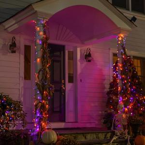 Light up your Halloween with DAZZLE BRIGHT 300 LED String Lights! 🎃✨ 100FT of vibrant purple & orange with 8 fun modes - perfect for parties, carnivals, and outdoor decor. Create a spooktacular atmosphere for your celebrations! 👻💡 Dazzle Bright