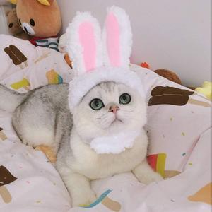 2 Pack Lion Mane Wig Costume for Cat Costume Bunny Rabbit Hat Headwear with Ears Pet Cosplay Dress up Halloween Party Costume Accessories for Cats & Small Dogs Yosbabe