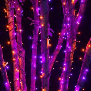 Light up your Halloween with DAZZLE BRIGHT 300 LED String Lights! 🎃✨ 100FT of vibrant purple & orange with 8 fun modes - perfect for parties, carnivals, and outdoor decor. Create a spooktacular atmosphere for your celebrations! 👻💡 Dazzle Bright