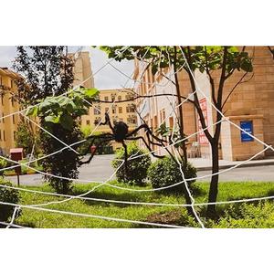 Transform your yard into a haunted haven with our Giant Spider Web Halloween Lights! 550 LEDs, 16.4Ft web, 4Ft spider, 8 modes, waterproof & timer. Perfect for spooky parties and seasonal decor! Get ready to scare! 🎃🕷️✨ VITI