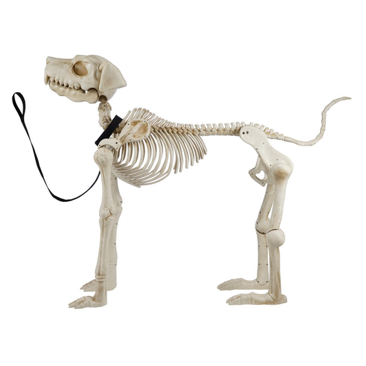 "Spooktacular 60-Inch White Skeleton Dog - Perfect Halloween Decoration by !"