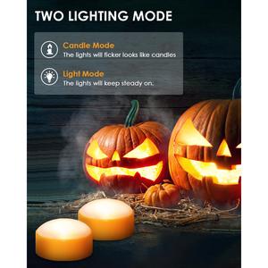 2-Pack Halloween LED Pumpkin Lights with Remote and Timer, Battery Operated Flameless Candles for Jack-O-Lantern, Plastic Vase Set for Decor